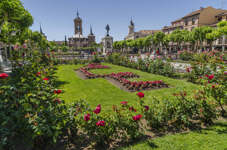 21 - Comunidad de Madrid - Alcala de Henares - plaza de Cervantes